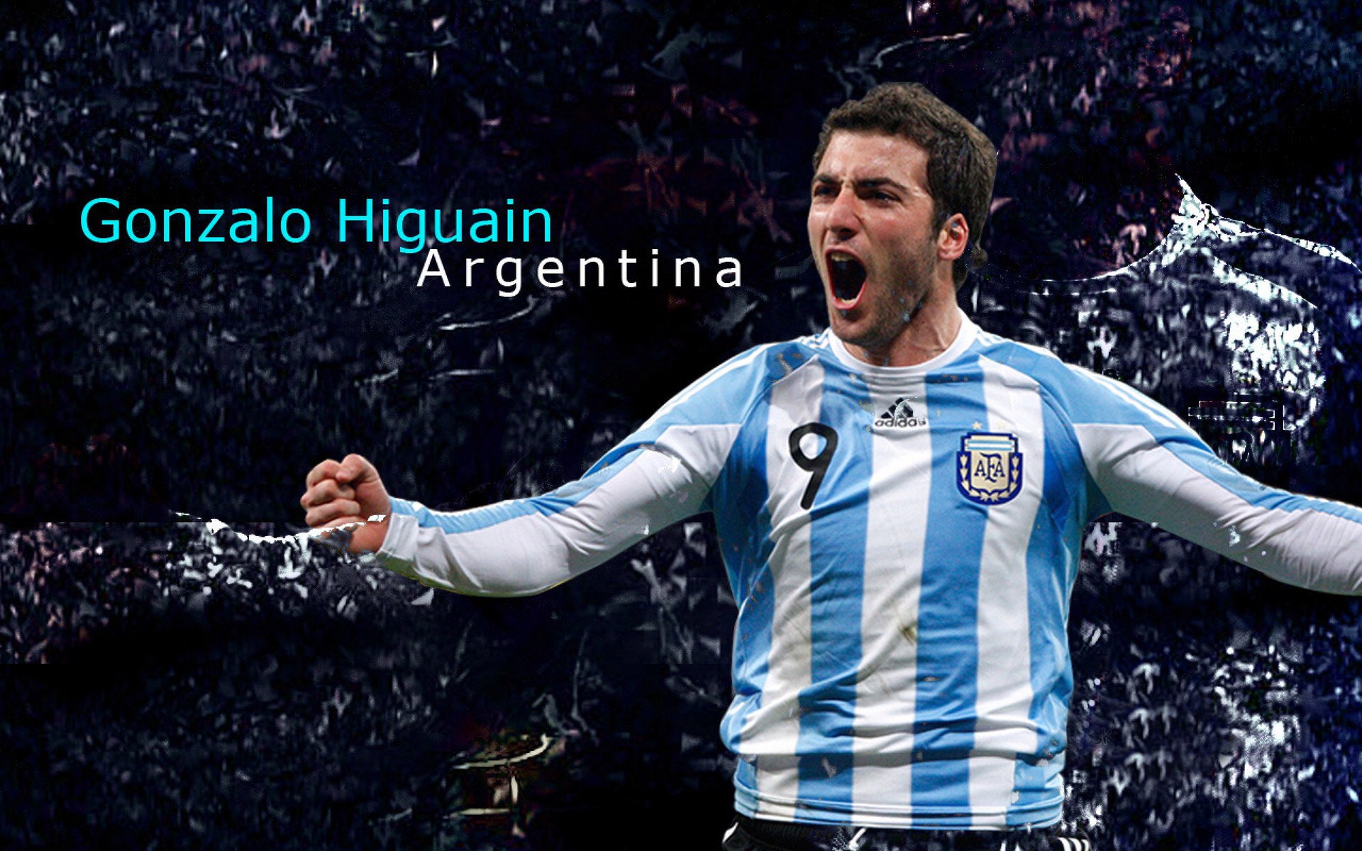 克罗地亚骑手吉塔·日特科维奇在2024年国际马术联合会世界障碍赛中获得第九名，表现出色。